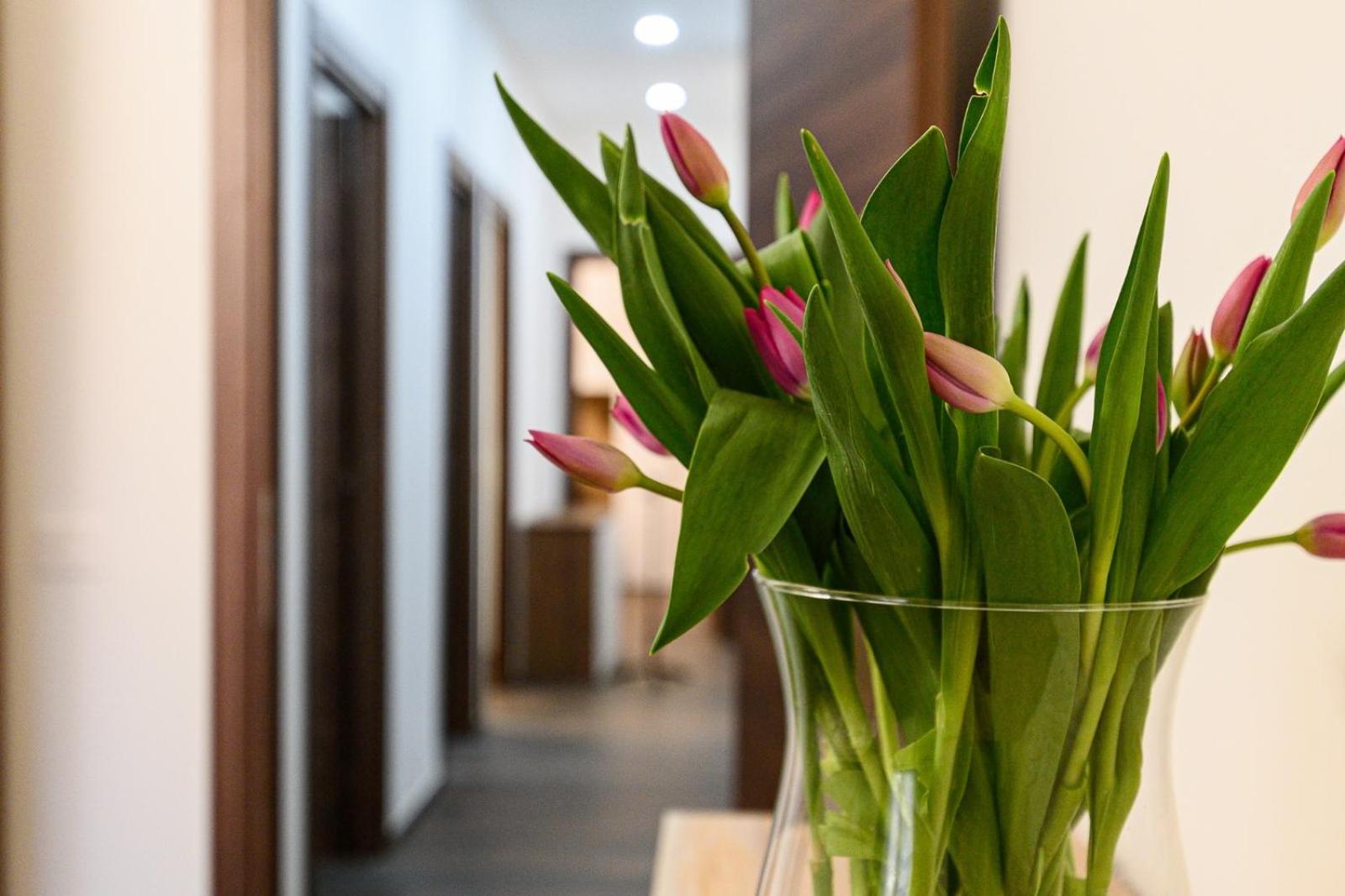 Apartamento Lb Roma